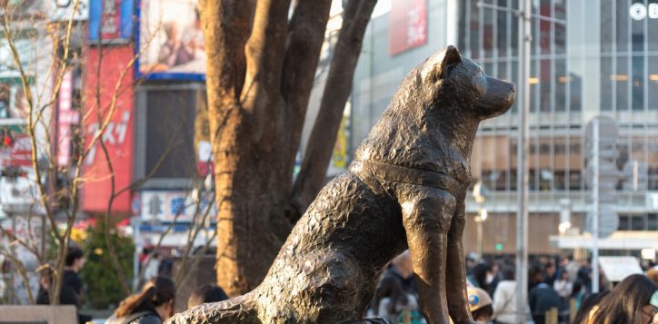 shibuya-m-size-2