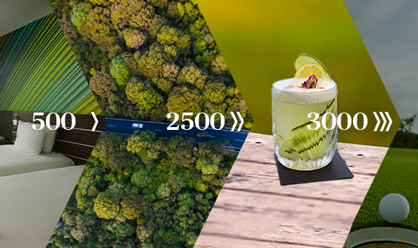 accor_boost_600x500_green-2