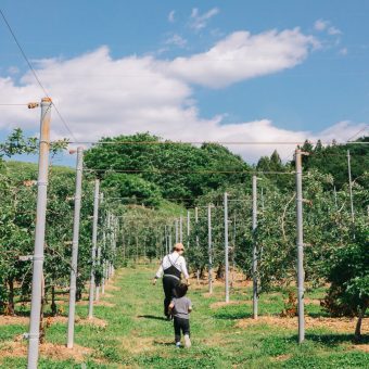 apple-cider-made-by-former-hotel-staff