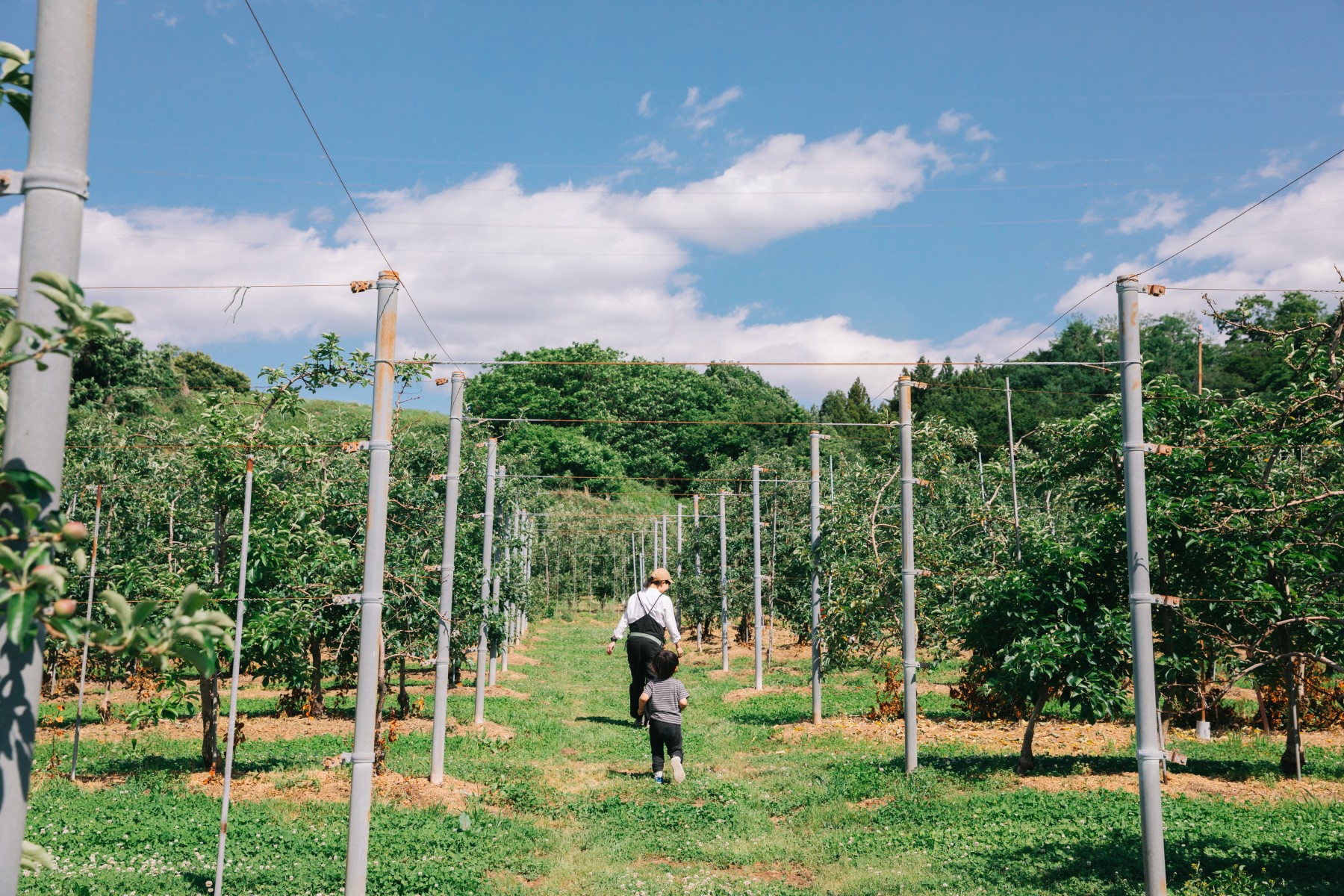 シードル 太陽農場イメージ